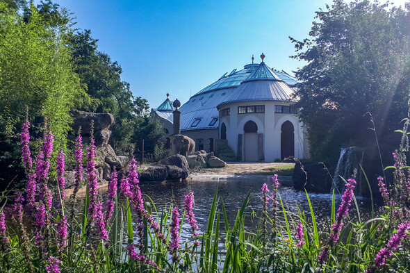 Das Wasserbecken auf der Außenanlage vom Hellabrunner Elefantenhaus.