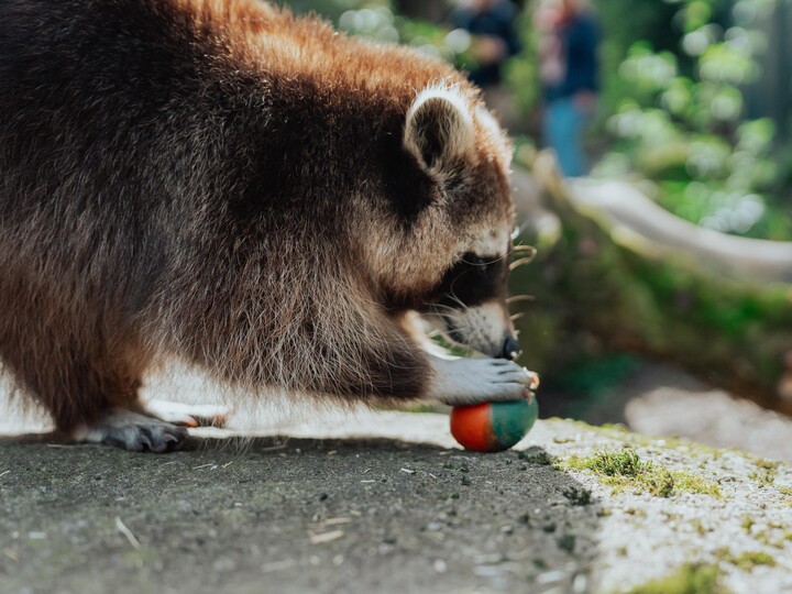 Tierpark_Ostern 2024-91